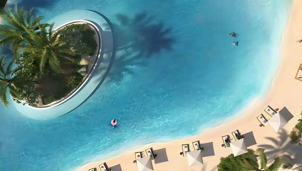 Palmiera%20Collective%20at%20The%20Oasis%20Dubai - 1